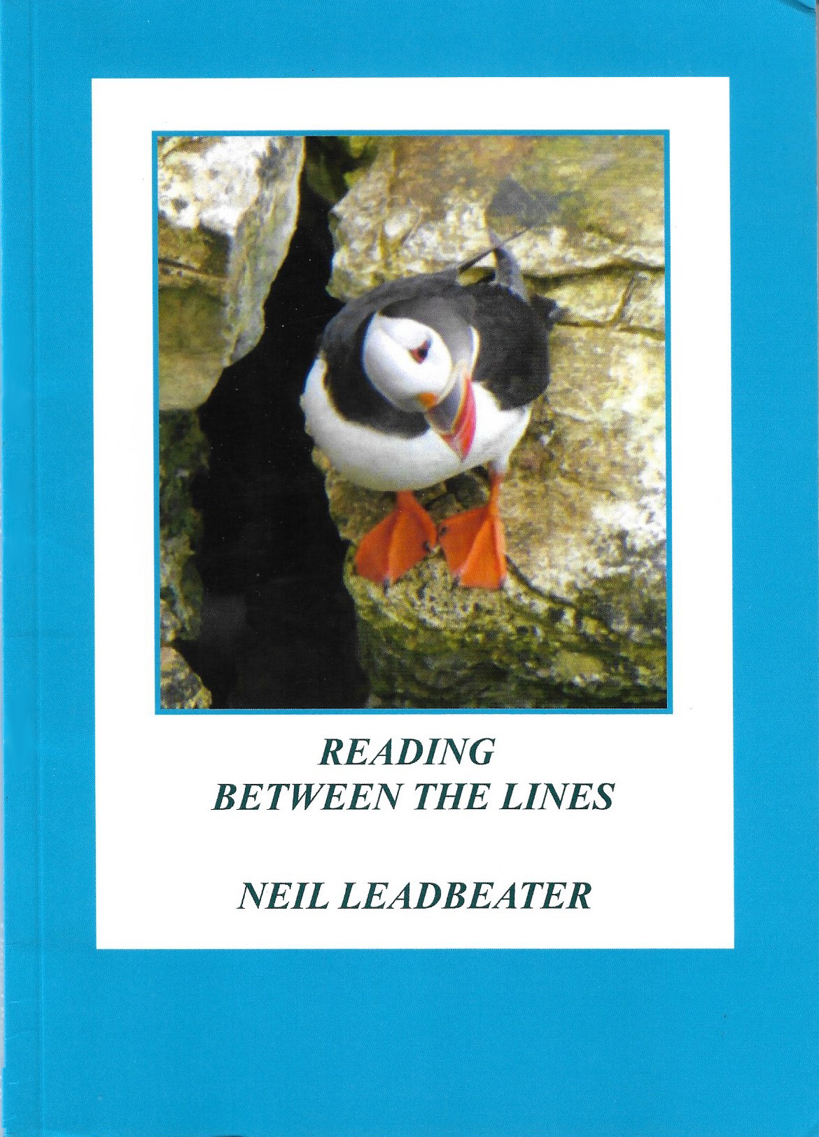 Caroline Gill Poetry and Other Writing My Puffin Photograph on the