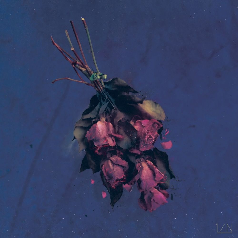 1/N – 새벽에 피는 꽃 – Single