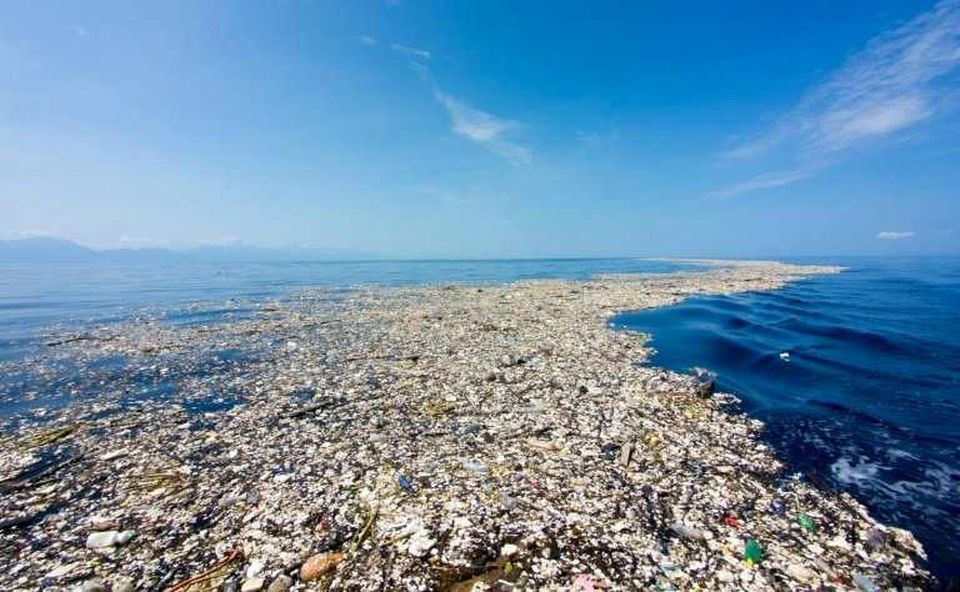 Toward A Healthy The Great Pacific Garbage Patch