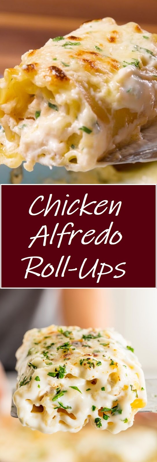 Chicken Alfredo RollUps Easy Recipes