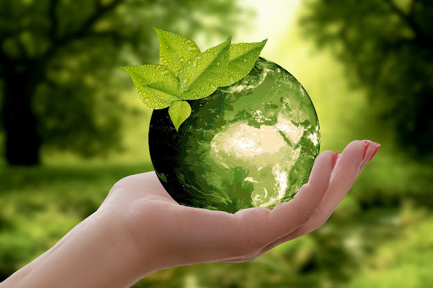 The image of green earth representing naturalist intelligence.