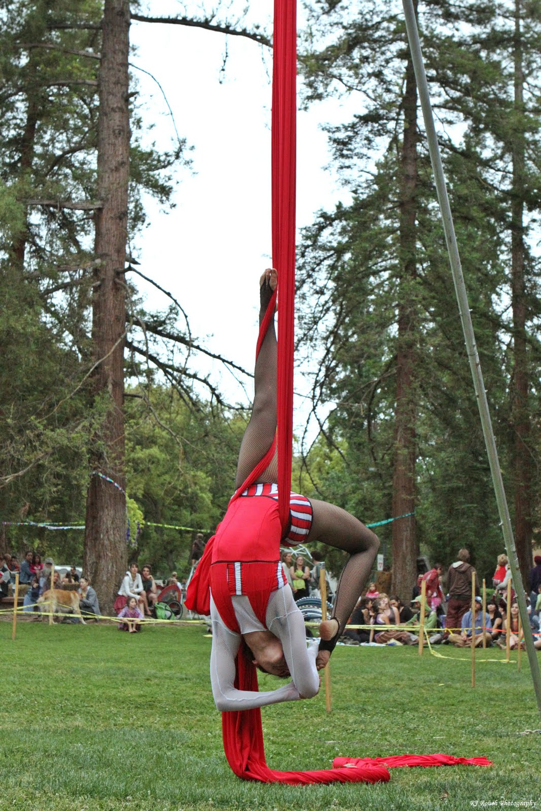 Mediocre Surreality: Ribbon Acrobat