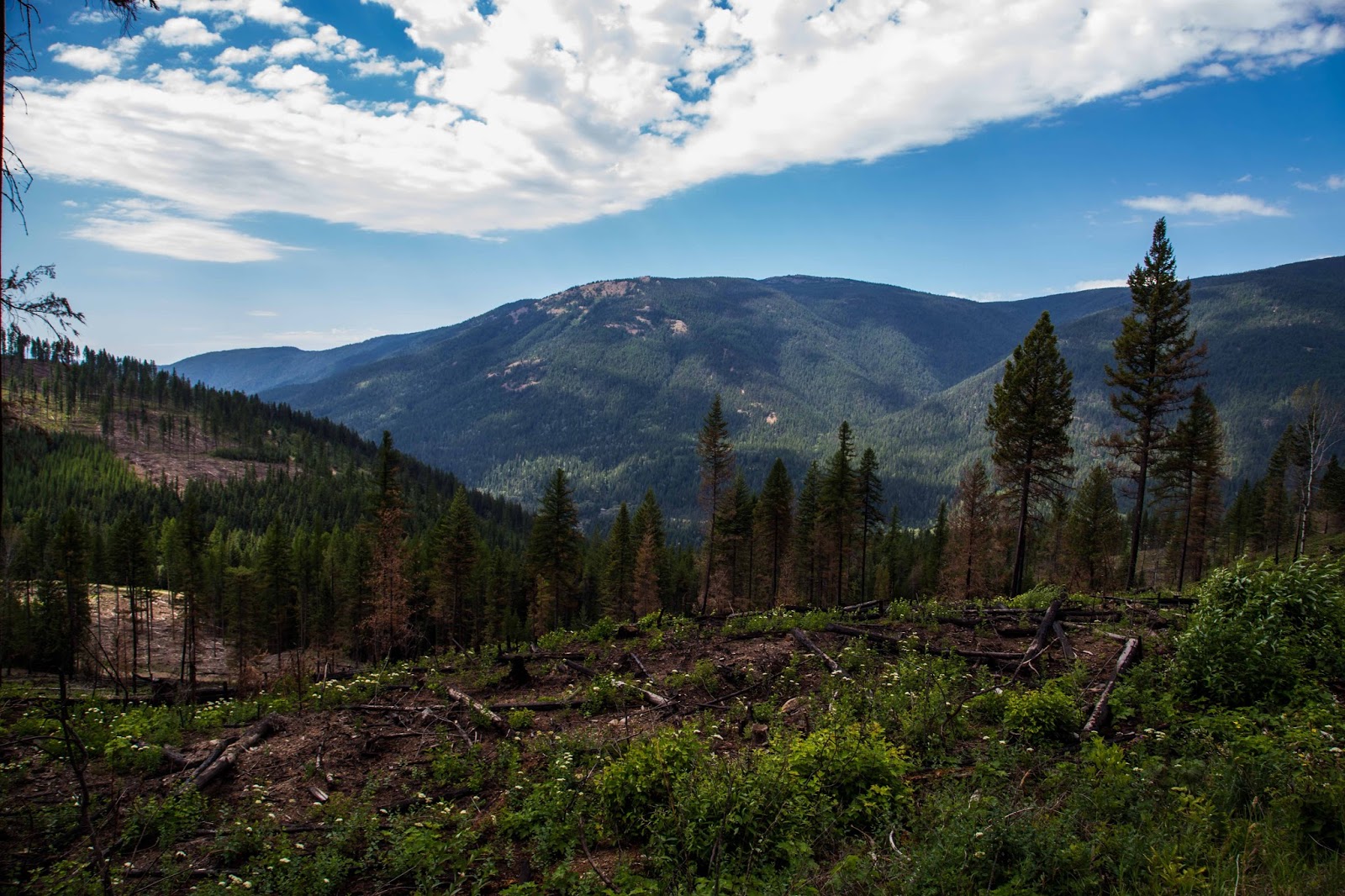 On The Road Full Time Rving Copper Creek Falls and Surrounding Area