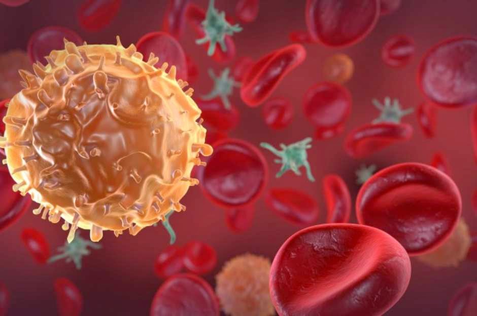 Células cancerígenas são reprogramadas e convertidas em anticorpos que podem até combater o Células cancerígenas são reprogramadas e convertidas em anticorpos que podem até combater o
