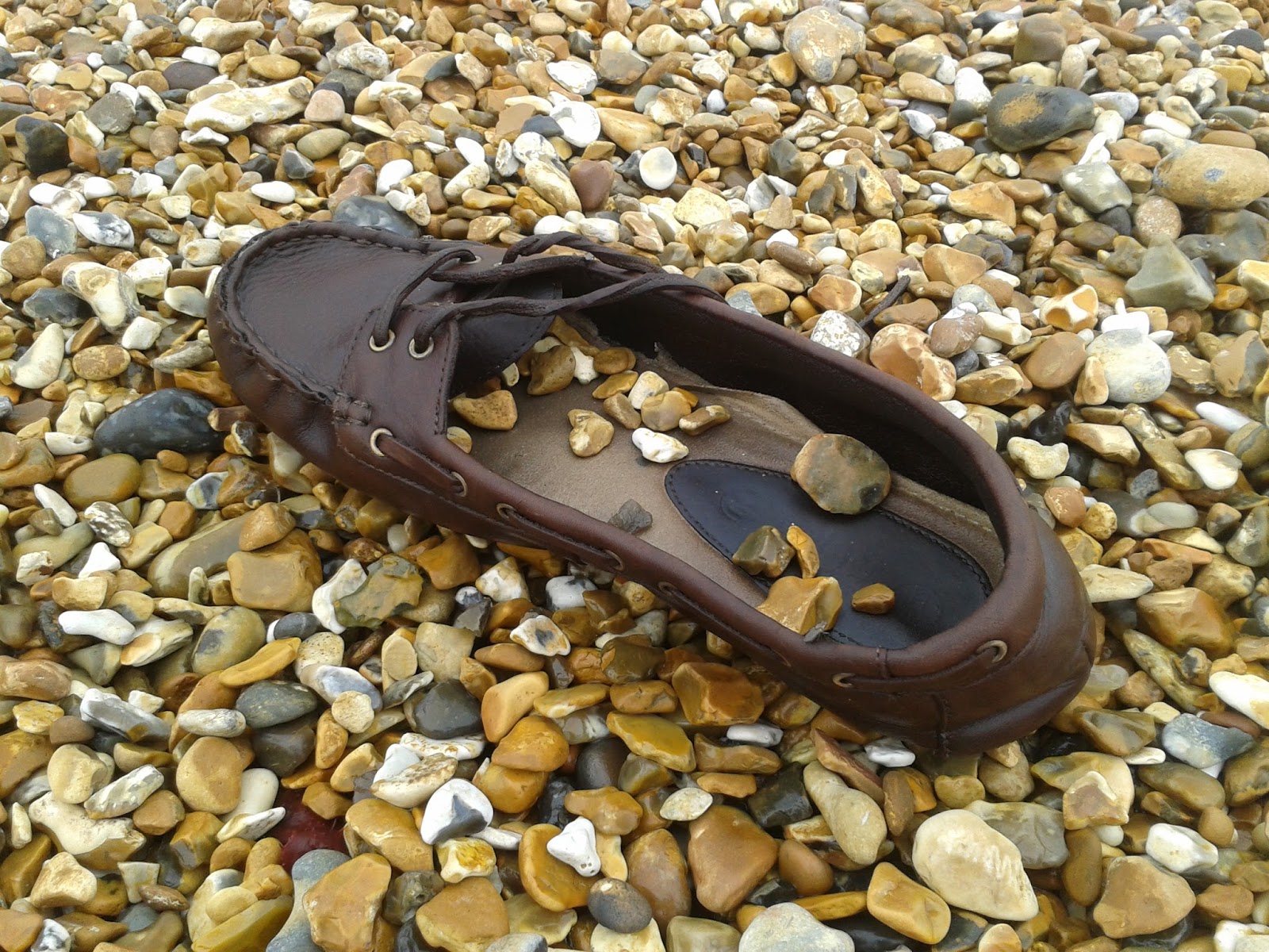 Buttons & Other Adventures What To Do With A Lost Shoe?