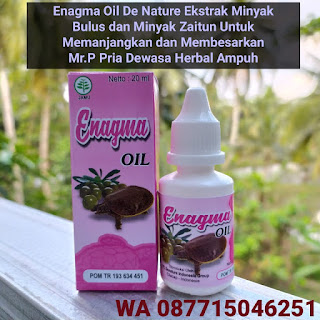 Jual Obat Pembesar Penis Pria Dewasa Dengan Minyak Bulus Enagma Oil De Nature