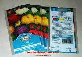 Usaha Untuk Budidaya Tanaman Hias