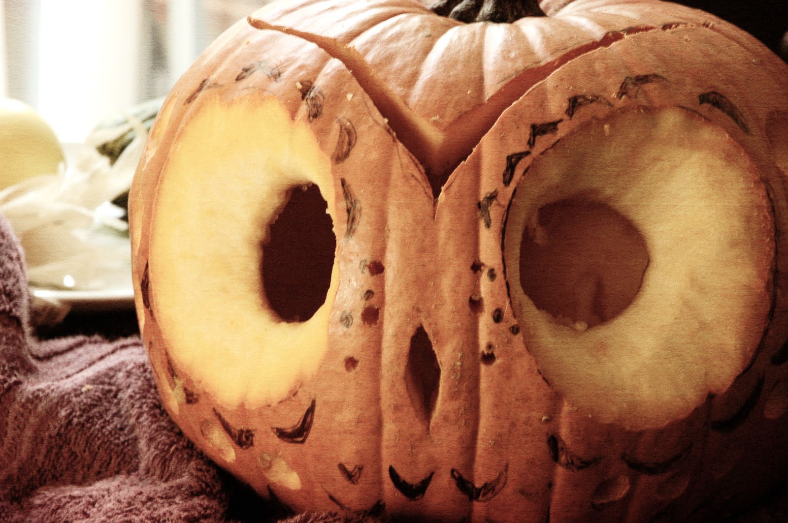 Our Little Burrow: My very 1st DIY: Decorative Owl Pumpkin