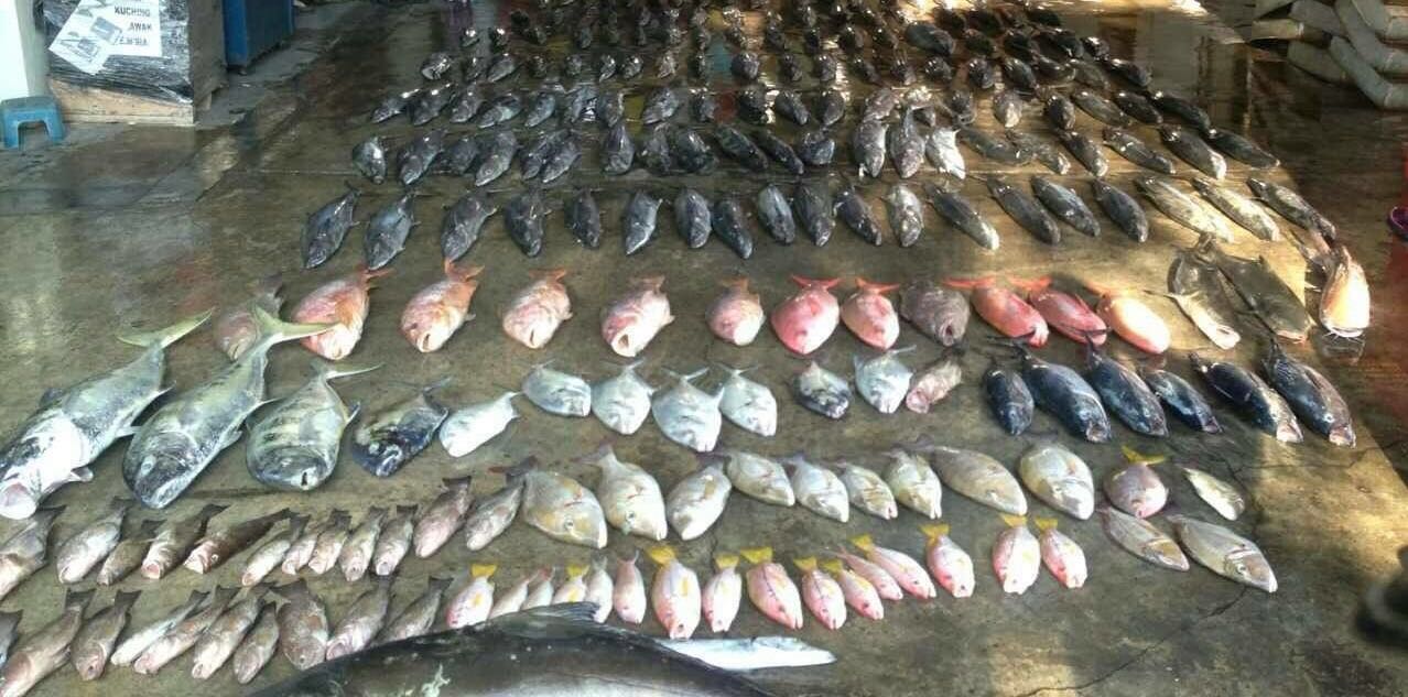 Deep Sea Fish Kuching