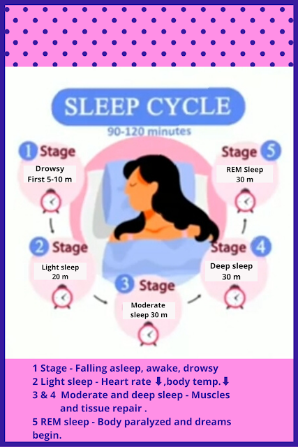 निद्रा चक्र (Sleep Cycle)