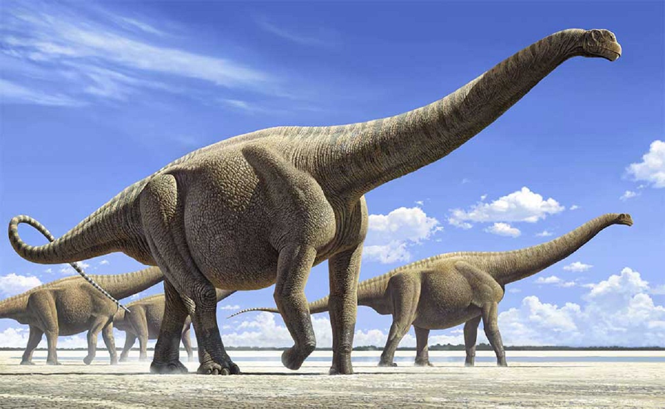 Динозав. Диплодок Аргентинозавр. Зауропод амфицелий. Травоядные динозавры Диплодок. Зауроподы Аргентинозавр.