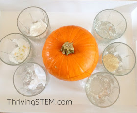 This Kindergarten science experiment gave us some surprising results!  It might just help us grow better pumpkins next year too.