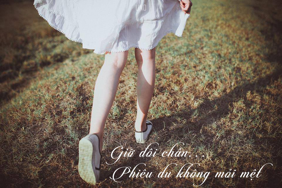 Download Font Viá»t Hoa Svn Candlescript Pro Chá»£ Font Viá»t Hoa Chia Sáº» Miá»n Phi Font Chá»¯ Äáº¹p Viá»t Hoa SVG Cut Files