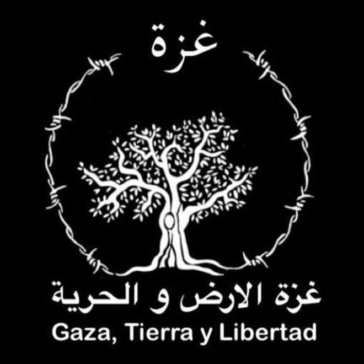 ONU libera fondos para aliviar impacto de crisis energética en Gaza