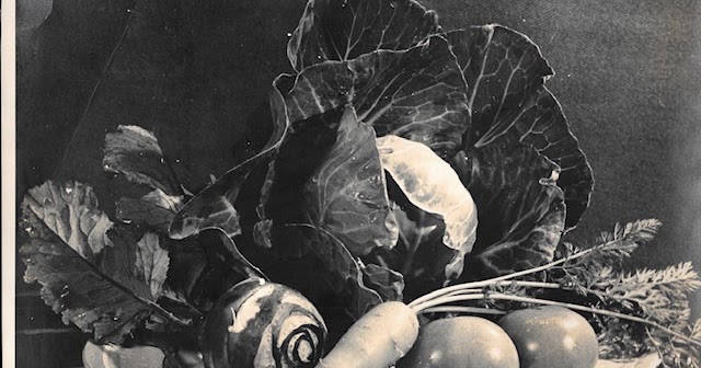 An Ode To My Grandfather And His Photography!!