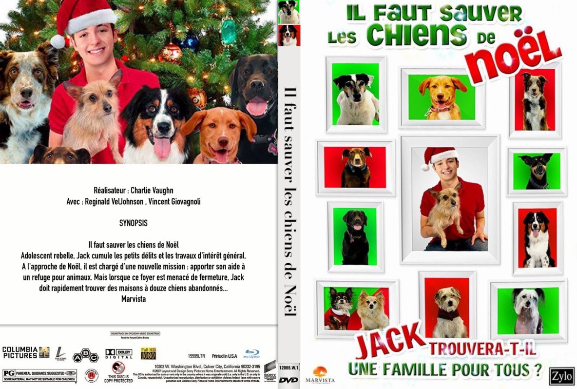 Il Faut Sauver Les Chiens De Noel C'est un beau téléfilm : Noël et Romance...Chrisnow: Il faut sauver les