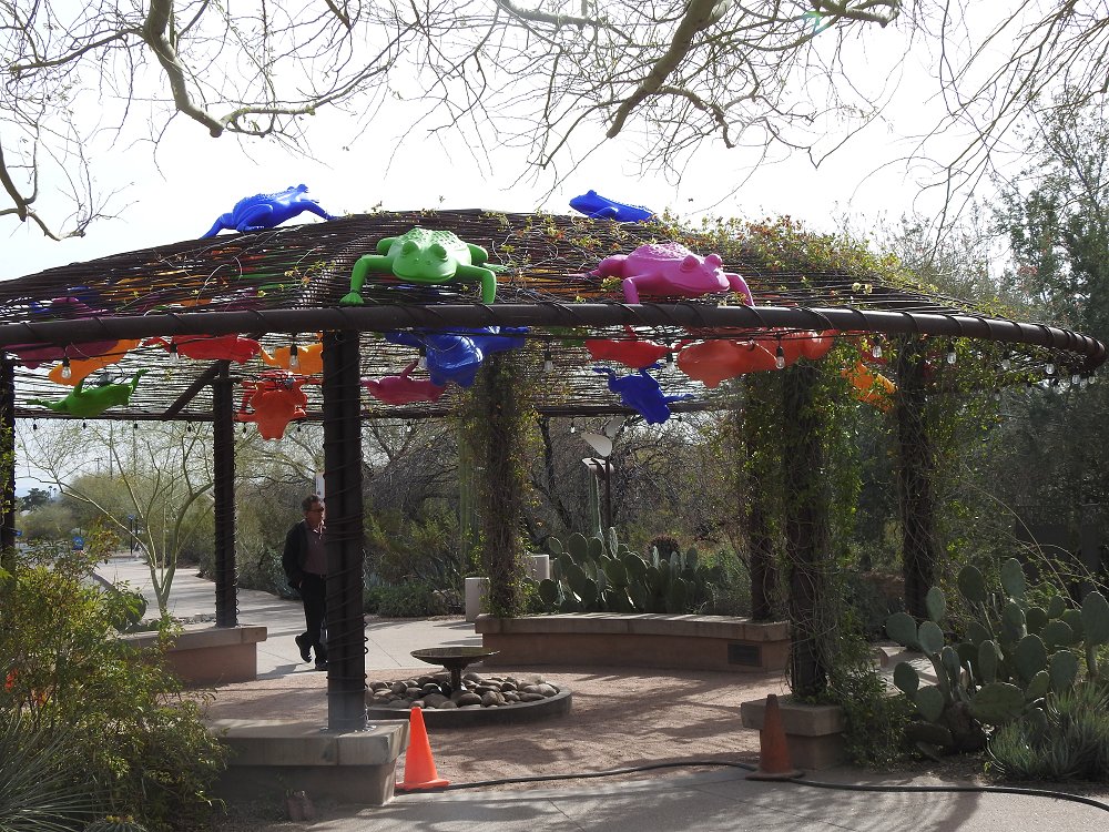 Kittling Books A Chilly Day at the Desert Botanical Garden