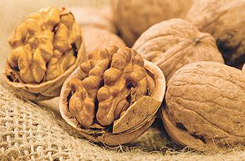 programa de la feria de la nuez amecameca 2016 feria de la nuez amecameca 2016