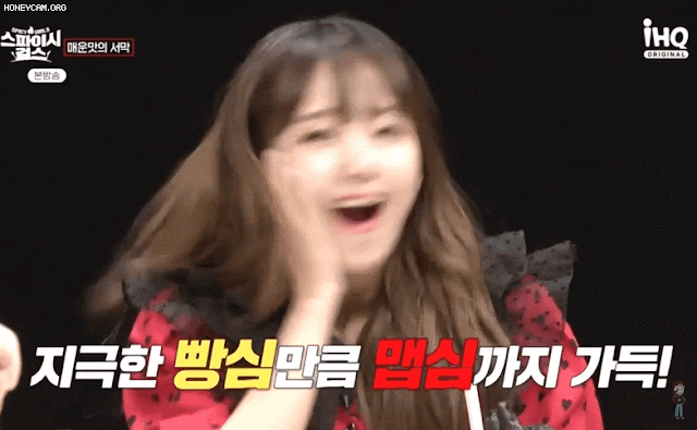스파이시걸스 최유정