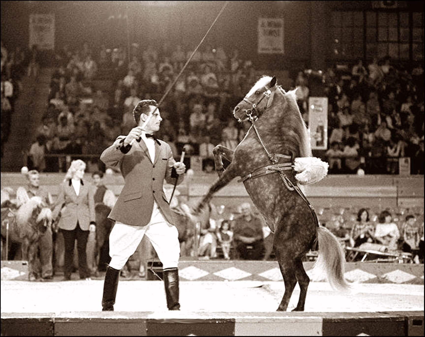 Buckles Blog HIND LEGS 9