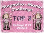 TOP 3 Magnolia Mania Challenge with this Christmas card and partylight.