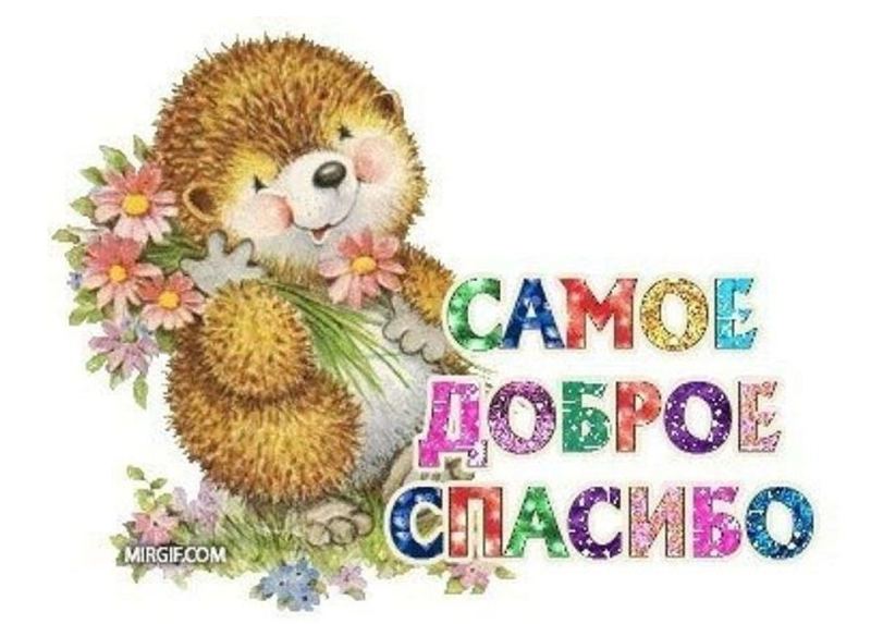 Спасибо тебе добрый человек картинки