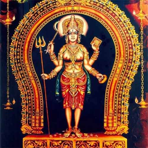 Thanikkudam Bhagavathi Temple Festival Natural Arattu With River