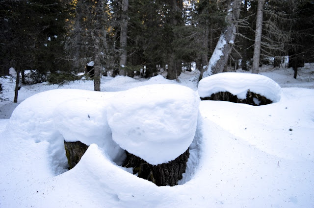 passo lavazè