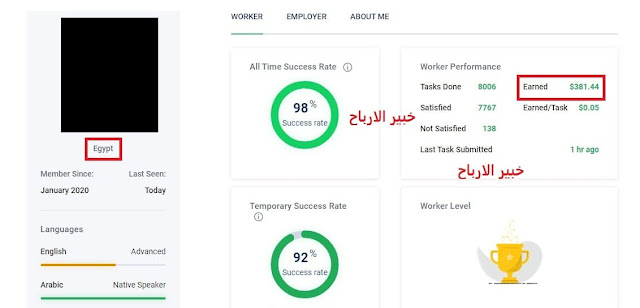 الارباح من موقع picoworkers