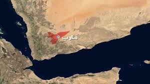 مأرب : تجدد المواجهات في عدة جبهات بين جيش الشرعية وقوات الحوثي