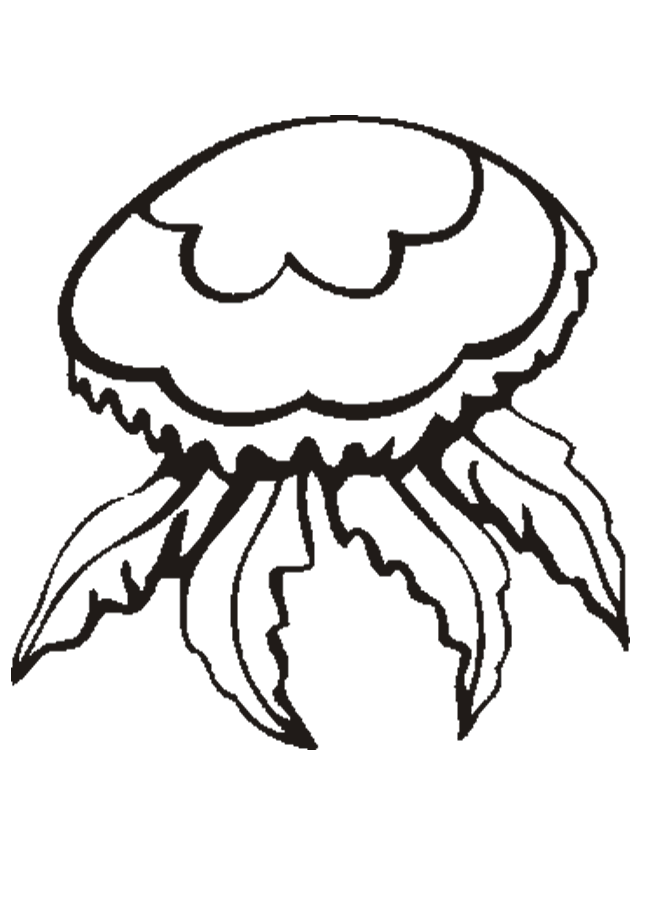 coloring pages jellyfish - photo #18