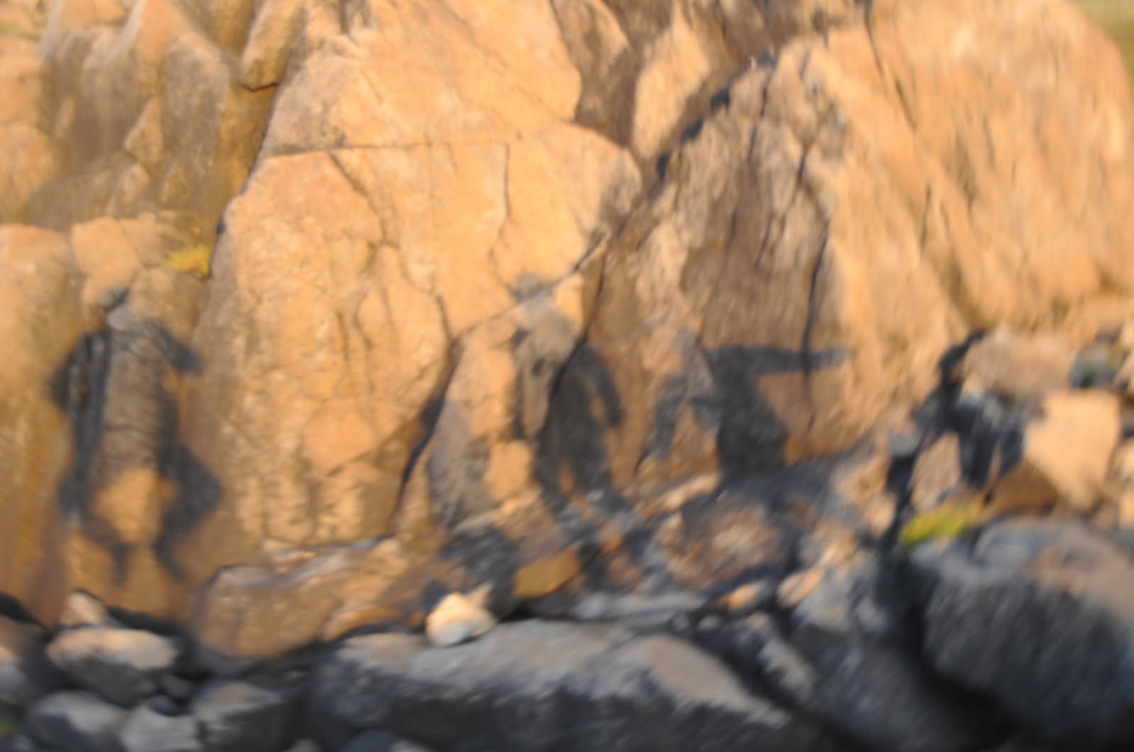 Kodiak Haakansons: Cape Alitak Petroglyph Camp