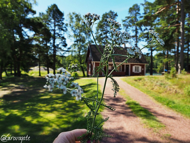 Pensar Syd Arcipelago Turk Finlandia