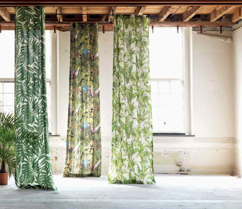 Ambiance d'Autan Le blog Un interieur façon jungle ou