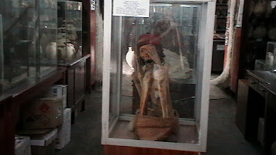 Museo de Huando