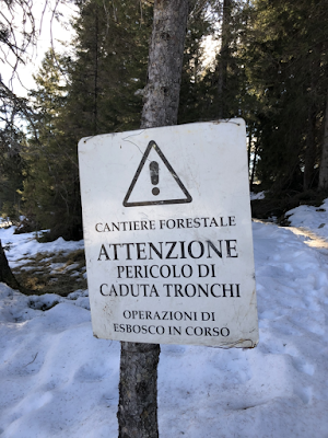 A sign warning of forest clearing or esbosco.