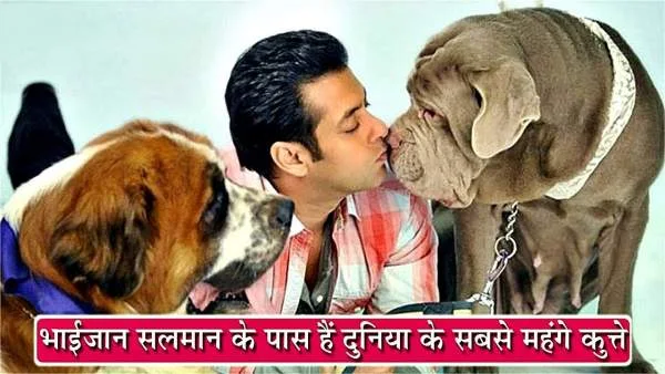 salman khan dog price