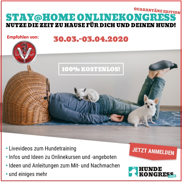 Trendyone Das Magazin Augsburg Oktober 2018 By Ad Can Do