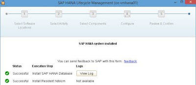 SAP Hana Dynamic Tiering setup on Multi-tenant database with DWF
