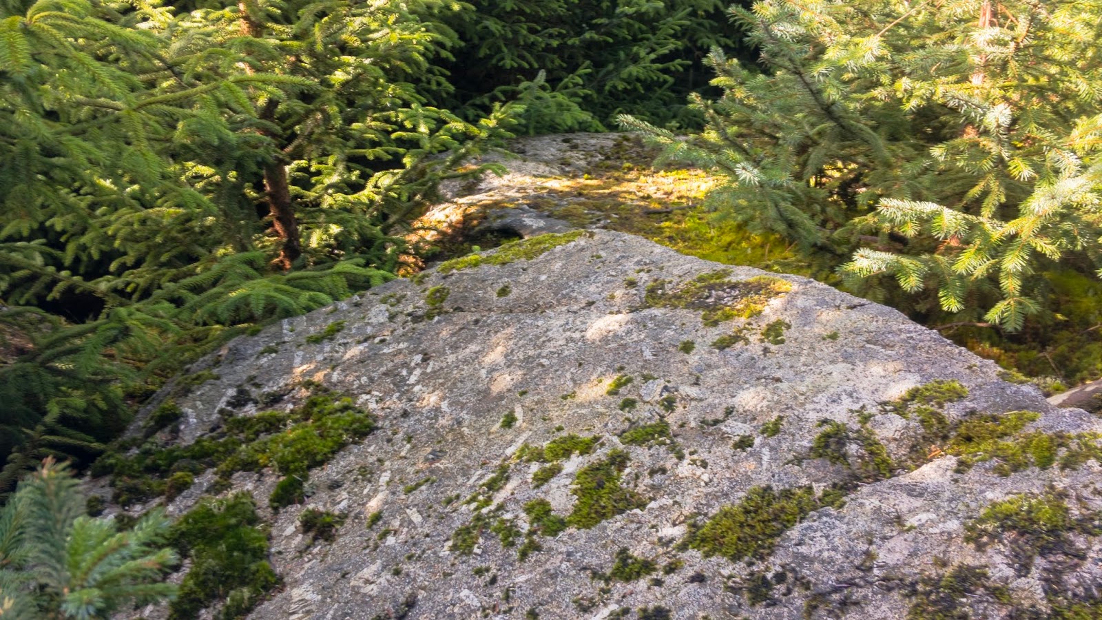 Max Piper Tor Bagger Dartmoor Finding the elusive Lowton Borough Rocks
