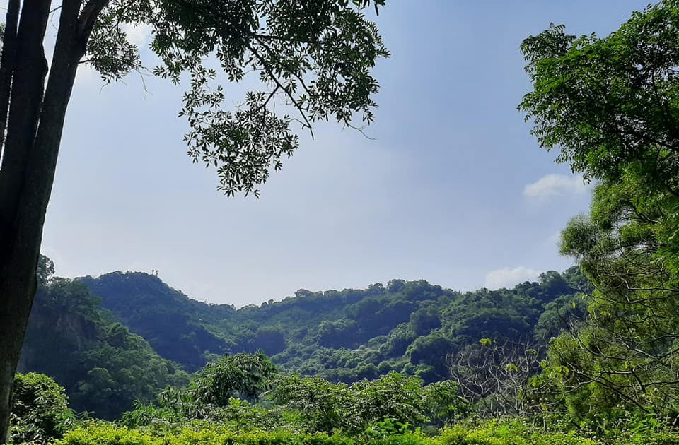 [遊記] 潭子新田登山步道半日遊：難易適中