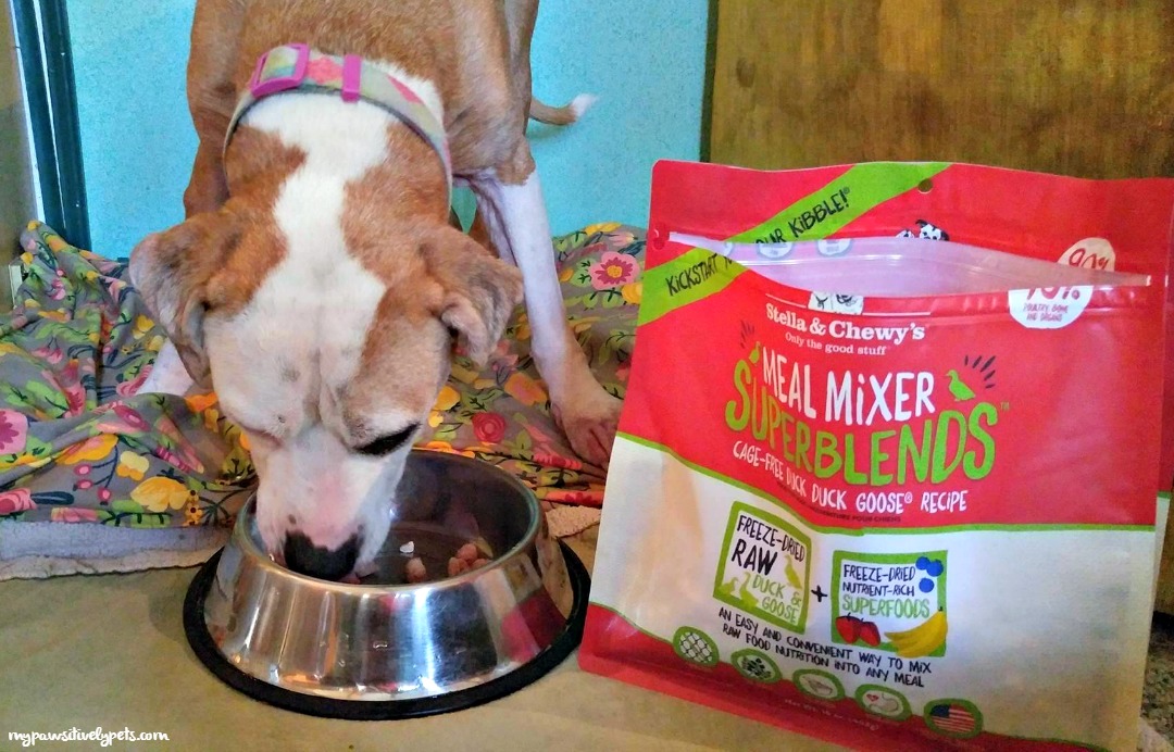 Stella & Chewy's MealMixerChallenge Win Prizes for Your Dog
