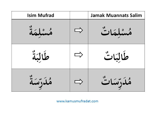 contoh jamak muannats salim