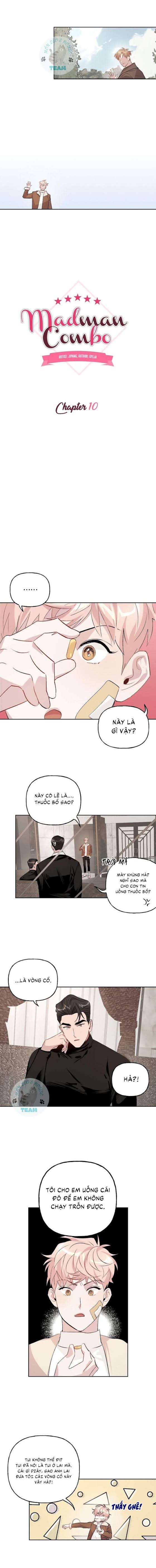 Đọc truyện Assorted Wildness - Chapter 10