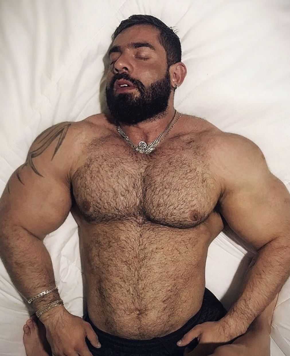 I recently found this Argentinian hairy muscle bull on Instagram, quote by ...