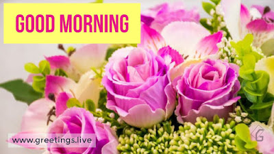 GOOD MORNING GOOD MORNING