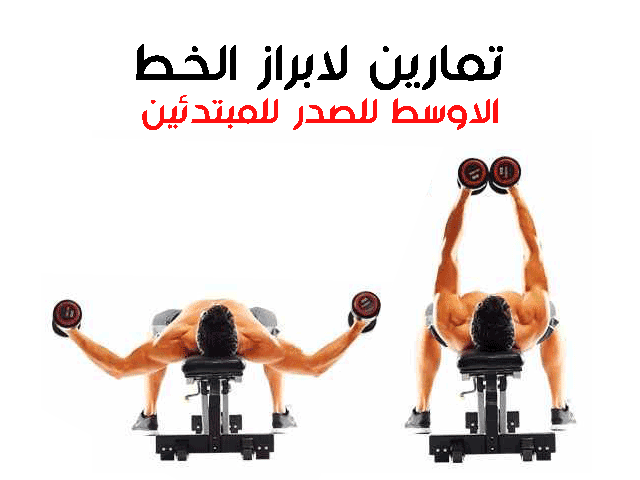 تمارين الصدرً في الجيم للمبتدئين تمارين الصدرً في الجيم للمبتدئين