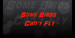 fly birds some