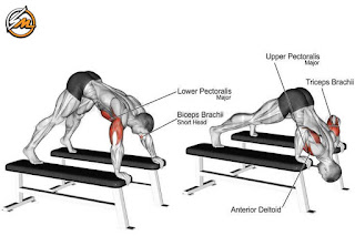 9 Effective Push-Up Variations to Build Muscle