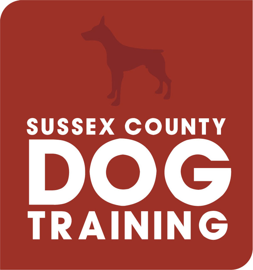 Sussex County Dog Training Chichester Agility Show